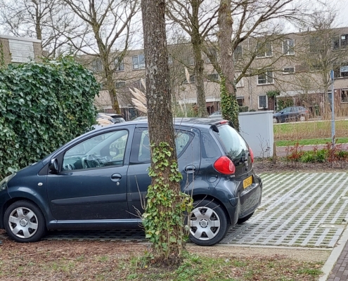 Klimaatverandering en bomen – Bomenemotie door parkeerdruk