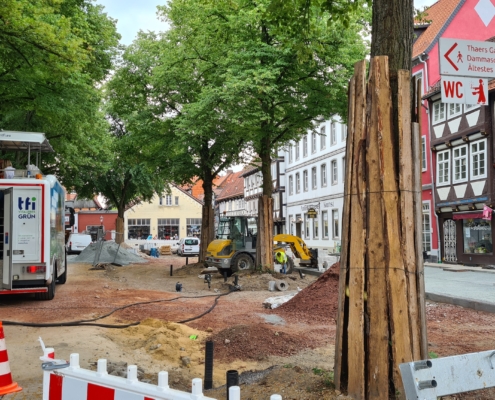 Baumschutz auf Baustellen – die Residenzstadt Celle nutzt TFI!