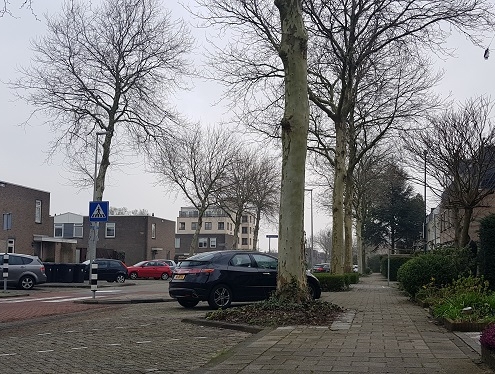 Bomen gered in Zoetermeer