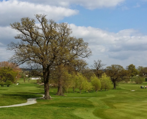 waardevolle bomen golfbaan