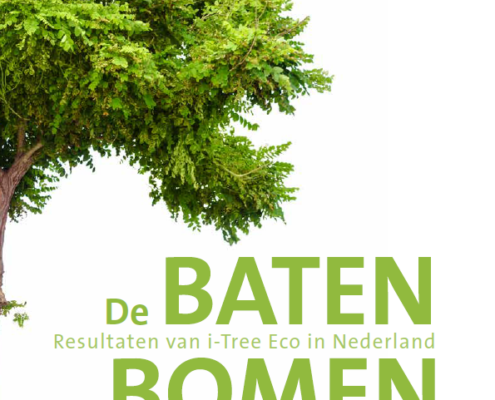Resultaten van i-Tree in Nederland